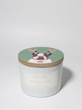 Sand + Paws Scented Candle -Balsam Cedar- Luxurious Air Freshening Jar Candles Neutralize pet Odors and Enhance Home décor – 100% Cotton Lead-Free Wicks - 12 oz