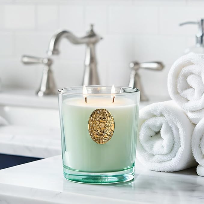 M&SENSE Two-Wick Eucalyptus Mint Candle for Relaxation | 120-Hour Burn Aromatherapy Soy Candle | Calming Stress Relief & Home Fragrance | 19.8 OZ Luxury Scent for Bedroom, Office & Gift