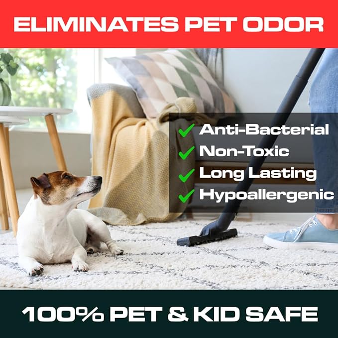 Ripclean Carpet Deodorizer & Freshener Cleaning Powder, Odor Eliminator for Strong Odors & Homes w/Pets, Safe around Kids & Pets, Use on Carpet, Rugs, Upholstery & More (16 Ounce, Lemon)