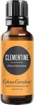 Edens Garden Clementine Essential Oil- 100% Pure Premium Grade, Undiluted, Natural, Therapeutic, Aromatherapy, The Best for Diffuser, Candle, Laundry, Kid Safe 30 ml (1 fl oz)