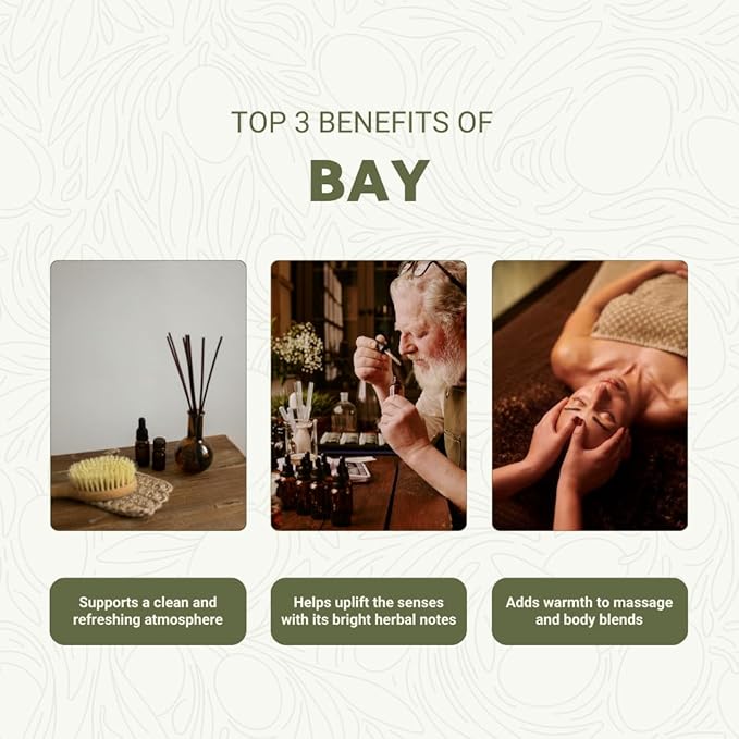 Bay Essential Oil - Direct from Greece - Steam Distilled - Laurel for Aromatherapy, Massage, Diffuser, DIY Candle and Soap Making - 8oz