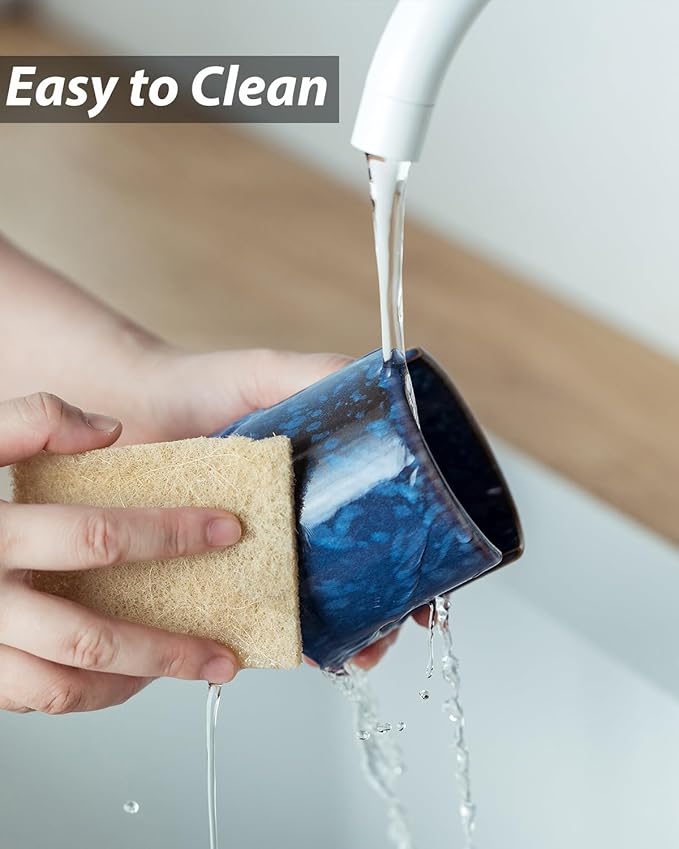 Zoeeker Kitchen Sponge Holder, Ceramic Sponge Organizer Scrubby Holder Sink Caddy Dish Rack for Kitchen and Bathroom, Farmhouse Decor, Blue