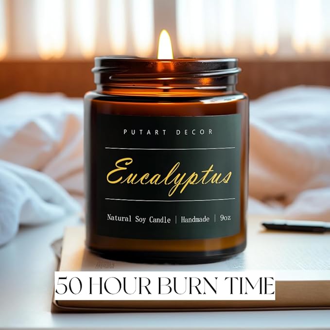 Eucalyptus Mint Candles for Home Scented, Natural Soy Aromatherapy Non Toxic Candles with Long Lasting Fragrance & Clean Burn, Luxury Jar Candle Gift for Women, Men, Home Decoration 9oz