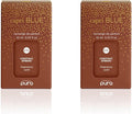 Capri Blue Pura Diffuser Refills – Luxury Home Fragrance – Long Lasting Oil Diffuser Scents with Notes of Roasted Chestnut, Bitter Orange & Black Cardamom (Chestnut Embers, Pack of 2 Pura Refills)