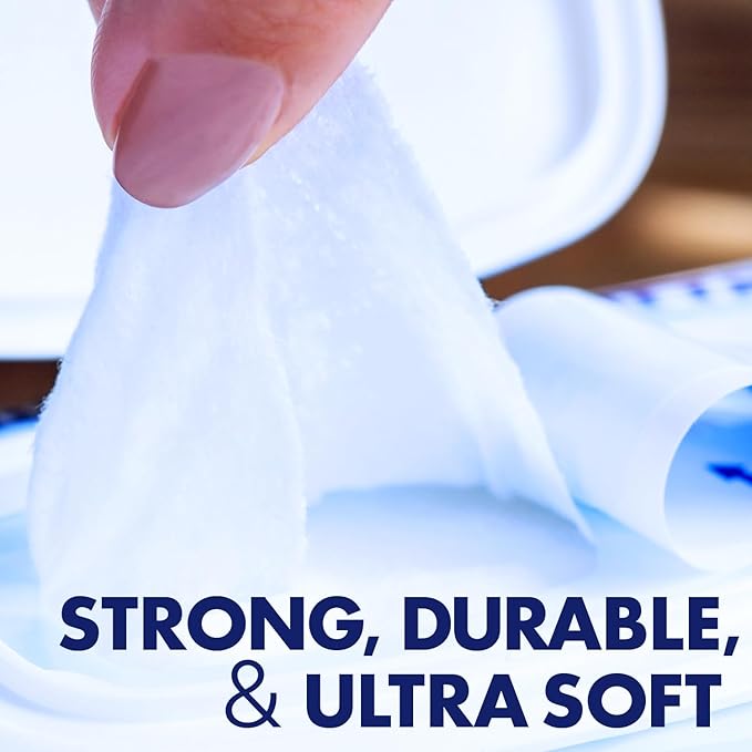 Homecare Pro Oversized Daily Cleansing Adult Wipes With 6 Moisturizers Wet Cleansing, Rinse Free, Bathing Wipes, Hospital Grade pH Balanced for Fragile Skin - | 48 Count XL |- 3 Pack