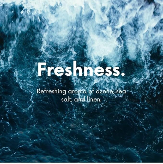 The Diamond Life Home “Sea Mist” Carpet Powder & Room Spray Bundle – Cotton Blossom & Linen – Natural Carpet Deodorizer for Vacuuming, Fabric & Upholstery Freshener, Air & Linen Spray – Pet & Kid Safe