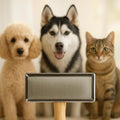 Professional Pet Slicker Brush, Self-Cleaning Grooming Tool with Wooden Handle, Stainless Steel Pins for Dogs and Cats, Dematting and Deshedding