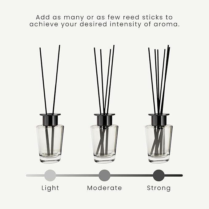 The Magic Scent Caribbean Mist Reed Diffuser for Home - Luxury Scent Diffuser with Premium Fiber Reeds for Lasting Gentle Dispersal - Natural, Toxin-Free Aroma Oil Reed