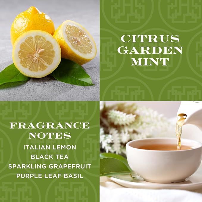 HomeWorx by SLATKIN + CO. Candle- Citrus Garden Mint, 18 oz. Premium Scented Candle - 30-55 Hours Burn Time