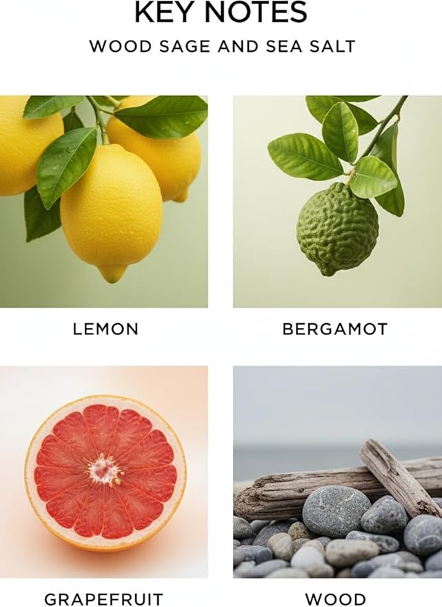 Wood Sage & Sea Salt Oil Reed Diffuser | Long Lasting Home Fragrance Essential Oils | Reed Diffusers for Home, Room, & Bathroom | Housewarming Gift | 6oz