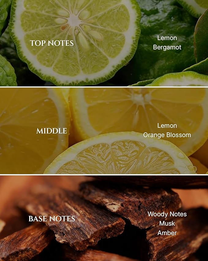 Citrus Hotel Diffuser Oil Inspired by Luxury Hotel Scent, Essential Oils for Waterless Diffuser, Luxury Lemon & Bergamot, Long-Lasting & Natural Home Fragrance - 6.76 fl oz (200 mL)