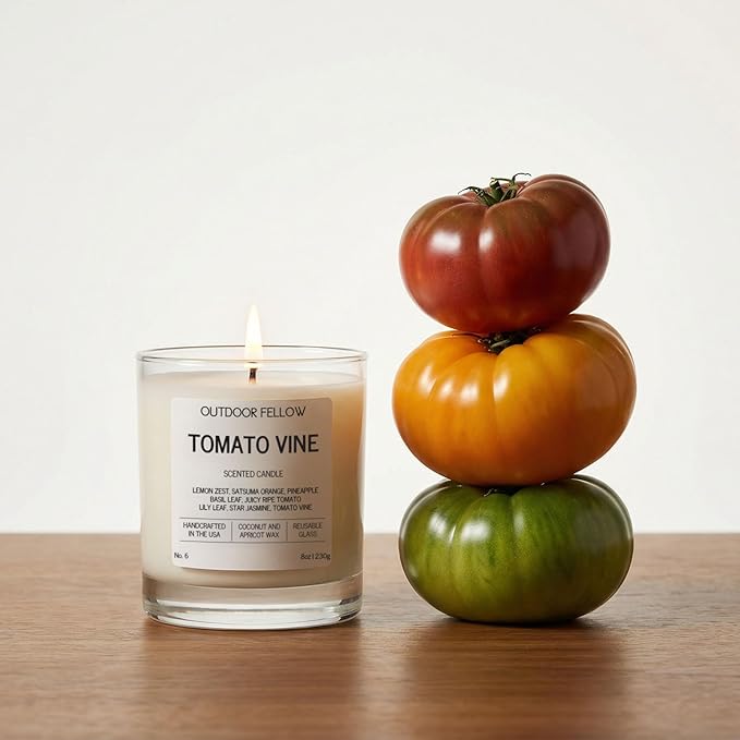 Outdoor Fellow Tomato Vine Scented Candle – 8oz Coconut Wax Blend – Strong Scent Throw – Inspired by Backyard Tomato Plants – Luxury Tomato Leaf Candle in Reusable Glass Jar