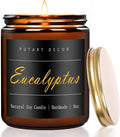 Eucalyptus Mint Candles for Home Scented, Natural Soy Aromatherapy Non Toxic Candles with Long Lasting Fragrance & Clean Burn, Luxury Jar Candle Gift for Women, Men, Home Decoration 9oz