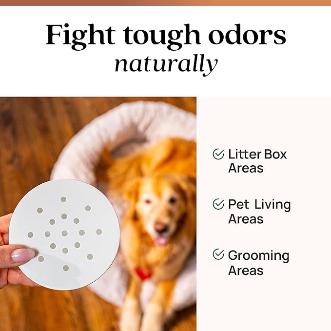 Azuna Pet Odor Eliminator for Strong Odor Gel | Plant Powered Australian Tea Tree Oil | Dog and Cat Room Deodorizer | Pet and Child Friendly | Cedarwood Scent | 24oz Refill