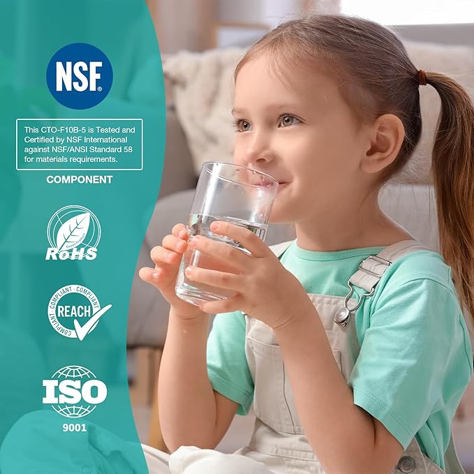 SimPure Whole House Water Filter Cartridges 5 Micron 10" x 4.5" CTO Activated Carbon Block, For DB10P, DB10C-2, GE GXWH40L, GXWH35F, BB10, FXHTC, FC15B, 8 Pack
