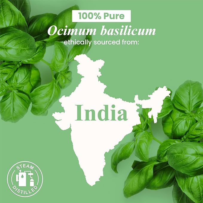 Handcraft Blends Basil Essential Oil – 0.33 Fl Oz – Pack of 2 – 100% Pure and Natural – Premium Grade Essential Oil for Diffuser and Aromatherapy, Skin, Massage, Candle and Soap Making Fragrance