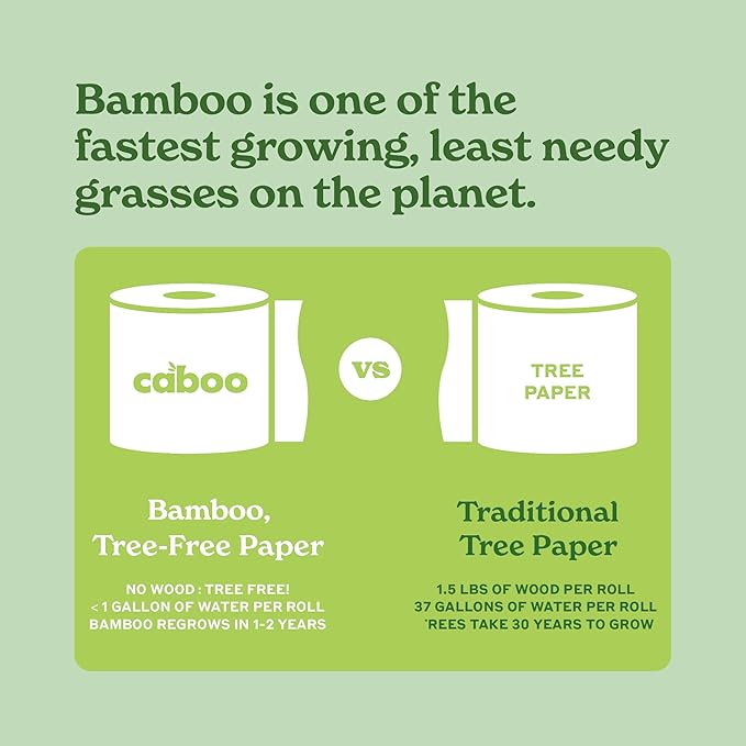 Caboo Tree Free Unbleached Toilet Paper | Plastic Free Packaging, Septic Safe, Eco Friendly, Chemical Free, Non Toxic | 2 Ply Toilet Tissue, Pack of 12 Double Rolls, 300 Sheets Per Roll