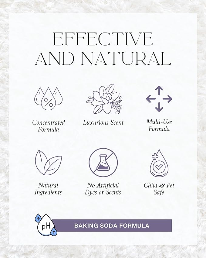 The Diamond Life Home "Noir Luxe" Sea Salt, Ozone, & Black Plum Natural Carpet Powder For Vacuuming, Upholstery Freshener, Odor Eliminator For Homes With Kids & Pets(Pack Of 4)