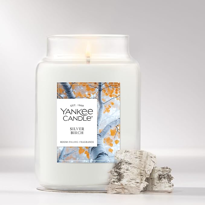 Yankee Candle Silver Birch, Holiday Scented Candle, 22oz Large Jar with up to 150 Hour Burn Time, Giftable