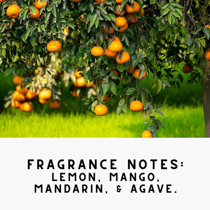 The Diamond Life Home “Citrus” Carpet Deodorizer Powder – Natural Odor Eliminator for Carpets, Upholstery, Pet Urine, Dog Beds & Cat Litter Boxes – Pet-Friendly – Lemon & Agave(Two Pack)