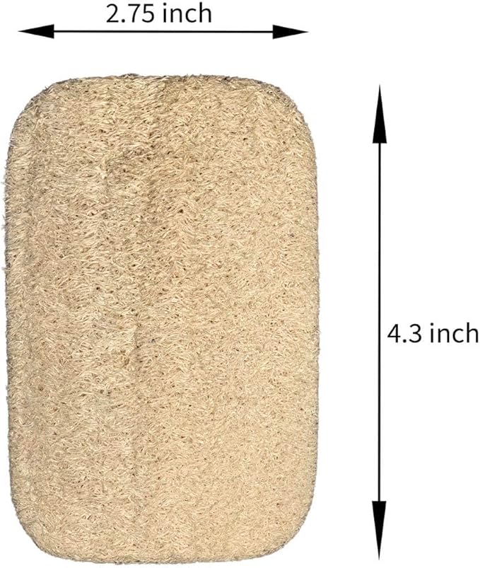 SageHearth Natural Loofah Dish Sponge 10 Pack – Eco Friendly Biodegradable Kitchen Scrubber for Dishes, Pots & Pans