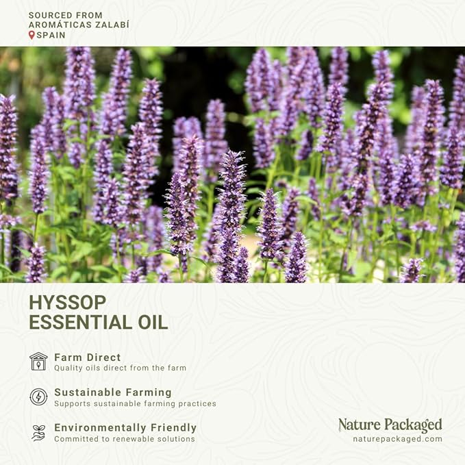 Hyssop Essential Oil - Direct from Aromáticas Zalabí Spain - Steam Distilled - Aceite de Hisopo for Aromatherapy, Massage, Diffuser, DIY Candle and Soap Making - 15ml