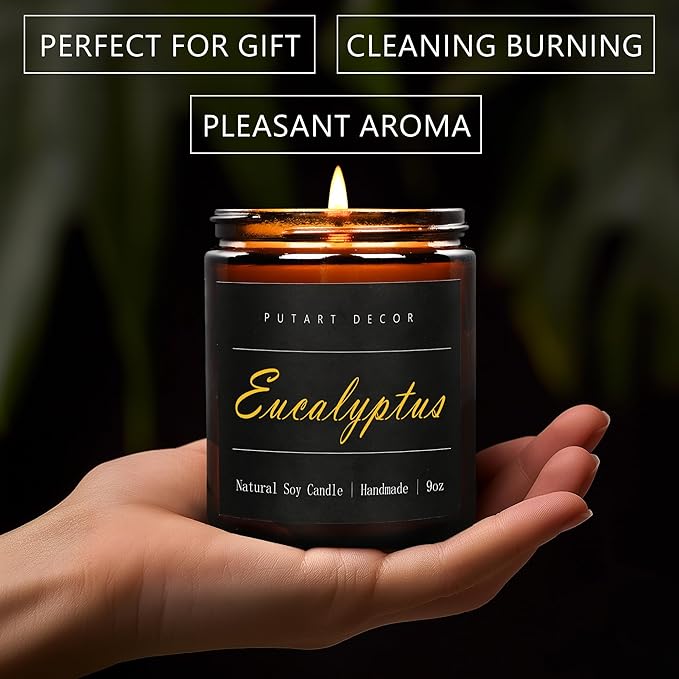 Eucalyptus Mint Candles for Home Scented, Natural Soy Aromatherapy Non Toxic Candles with Long Lasting Fragrance & Clean Burn, Luxury Jar Candle Gift for Women, Men, Home Decoration 9oz