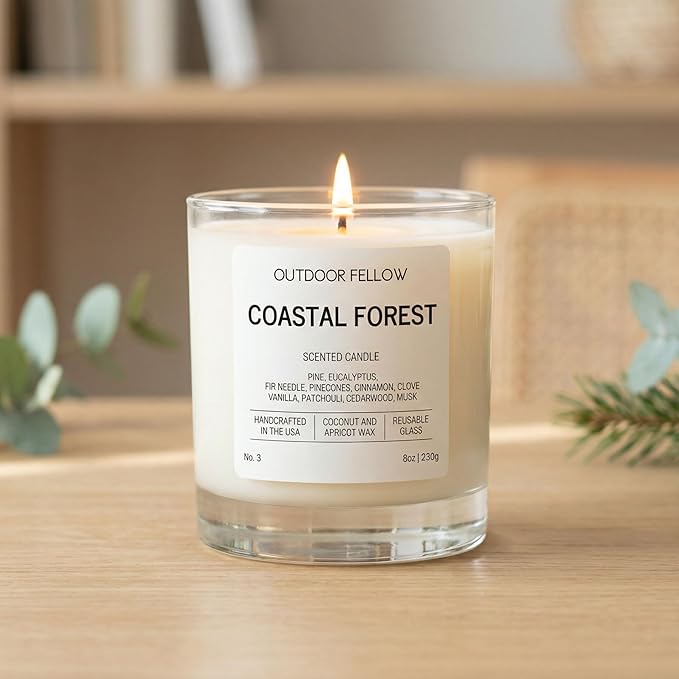 Outdoor Fellow Coastal Forest Scented Candle, 8oz, Coconut & Apricot Wax Blend, Pine, Eucalyptus, Cedarwood, Reusable Glass, 40-50 Hour Burn Time