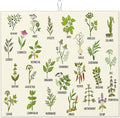 Cute Herbs Botanic Garden Plants Dish Drying Mat for Kitchen Counter Washable Absorbent Reversible Microfiber Drying Pad Kitchen Accessories 16"x18"