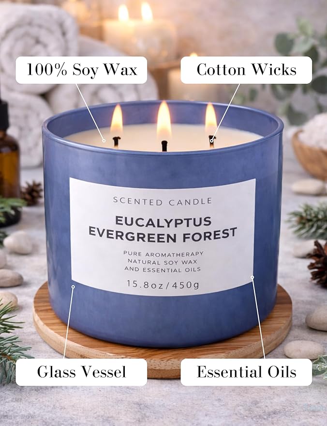 Eucalyptus Evergreen Forest 3-Wick Soy Candle, 15.8 oz | Winter Pine, Balsam Fir & Evergreen Scented Candle | Woodsy Aromatherapy Candle for Home | Clean Burn, Long-Lasting