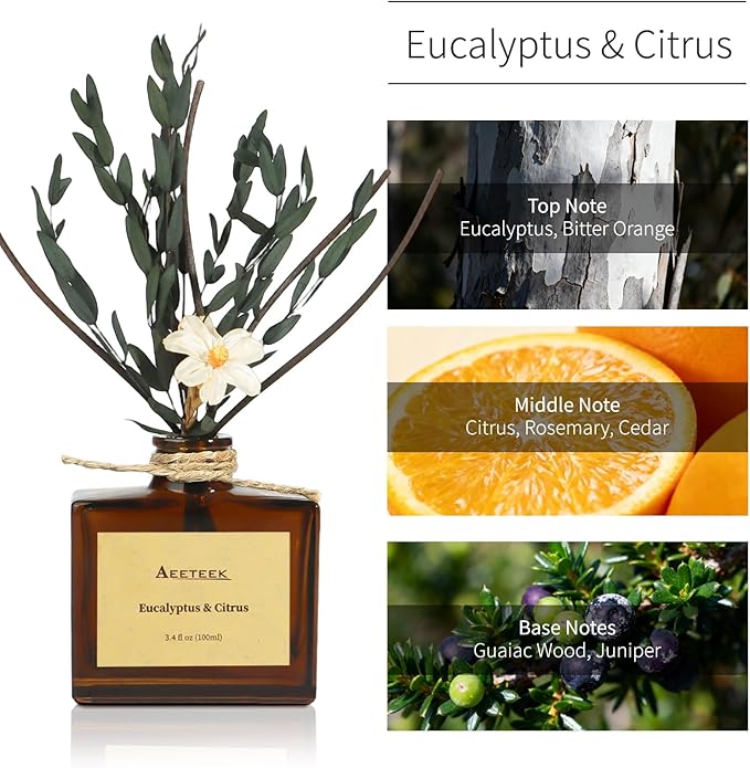 Reed Diffuser, Eucalyptus & Citrus Scented Oil Diffusers for Home with Dried Flowers, 3.4 Fl Oz Essential Oil Diffuser for Bathroom, Elegant Fragrance for Room Decor