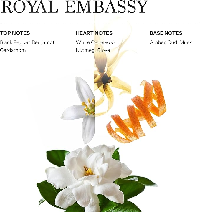 Royal Embassy Hotel Diffuser Oil, 100ml, 3.38 oz, Scent Inspired by Dubai Luxury Hotels, Luxurious Aromatherapy Refill Fragrance for Waterless Cold Air Diffusers, Home, Office, Hotel