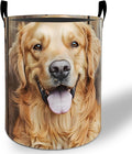 Golden Retriever Laundry Basket Hamper 19.7"x15.8", Cute Dog Foldable Waterproof Oxford Clothes Storage Bucket for Room Bathroom Bedroom Nursery Decor, Toy Organizer Bins Gifts for Kids Boys Girls