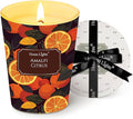 HomeLights 1-Wick Candles for Home Scented - 6.7oz Soy Wax Blend Candle Long-Lasting Fragrance, Eclectic Mixed Styles Home Decor and Housewarming Gifts, Amalfi Citrus