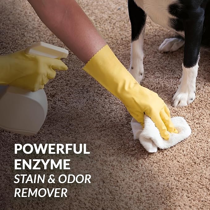 Strong Stain & Odor Eliminator - Cats & Dog Enzymatic Urine Destroyer -MADE IN USA- Fresh Scent Multi-Purpose Pet Stain Remover for Floors, Carpet, Bathrooms, Drains & Trash Deodorizer cleaner, 128oz