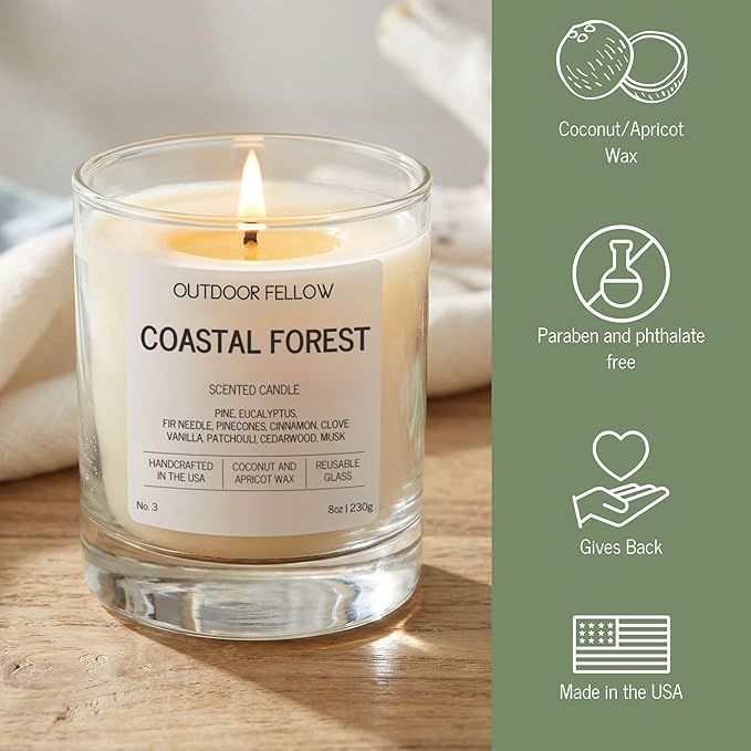 Outdoor Fellow Coastal Forest Scented Candle, 8oz, Coconut & Apricot Wax Blend, Pine, Eucalyptus, Cedarwood, Reusable Glass, 40-50 Hour Burn Time