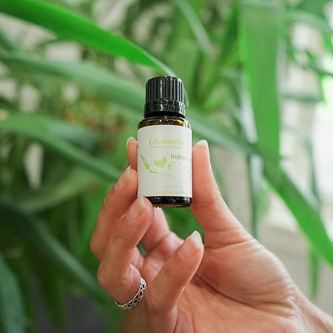 Citronella Essential Oil - Direct from Central Java, Indonesia - Pure Essential Oil for Diffusers and Aromatherapy | 100% Pure Therapeutic Grade (2lbs)