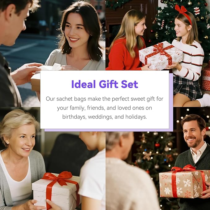 MYARO Large 12 Pcs Linen Scented Sachets for Drawer and Closet, Long-Lasting Sachets Bags Air Freshener Fresh Scents, Hanging Potpourri Bags Home Fragrance for House