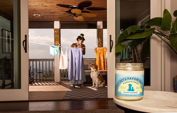 Pet's Favorite Pet Odor Candle, Clean Burning, Long Lasting Scented Candles with a Cotton Wick. (Clean Laundry, Pack of 2)
