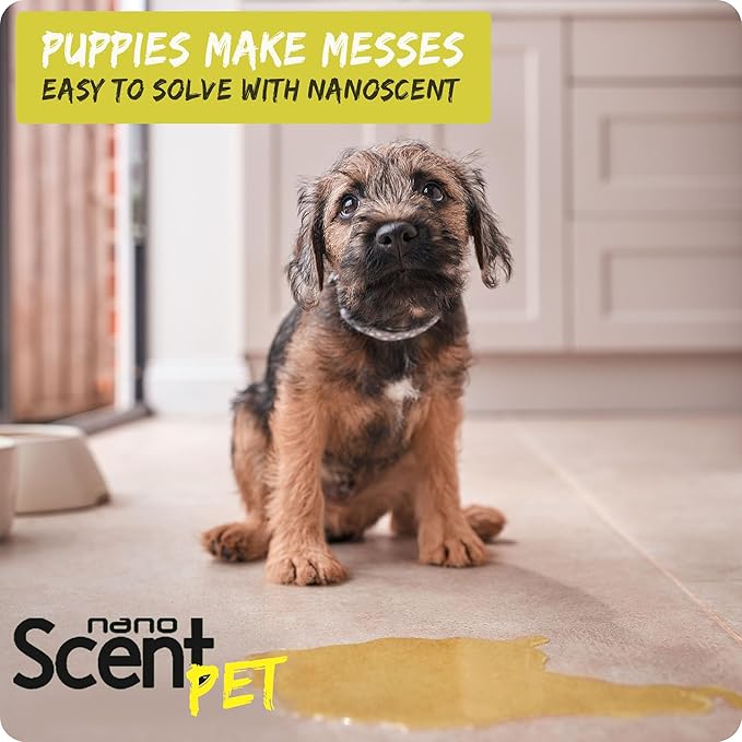 nanoSCENT PET Urine Remover for Dogs & Cats, Eliminates Odors & Stains, 98% Natural Ingredients, Safe for Pets & Home, Bio-Active Enzymes + Long-Lasting Fresh Scent, Carpet, Floors & Furniture (200mL)