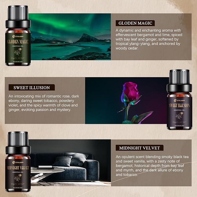 Hotel Diffuser Oils, Hotel Collection Diffuser Oil, Luxury Essential Oil for Diffuser, Soap & Candle Making Scents - 1 Way, Dream State, Coastal Cabine, Gloden Magic