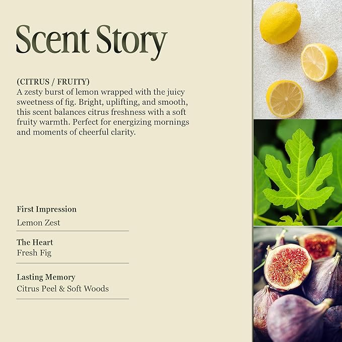 Annex Fig Leaf & Lemon Luxury Scented Candle - 8oz Handmade Beige Ceramic Jar Candle - 50hr Clean Burn, 100% Non-Toxic Soy Wax, Home Fragrance, Aesthetic Decor Gift for Men Women - Amber & Sandalwood