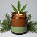 Bia Candle Co Soy Blend Candle, Smoky Herbal Cannabis with Patchouli, Musk & Black Pepper, Passion Fruit & Grapefruit – Clean Burn, Lead-Free Wick – Let’s Get Lit, 7 oz