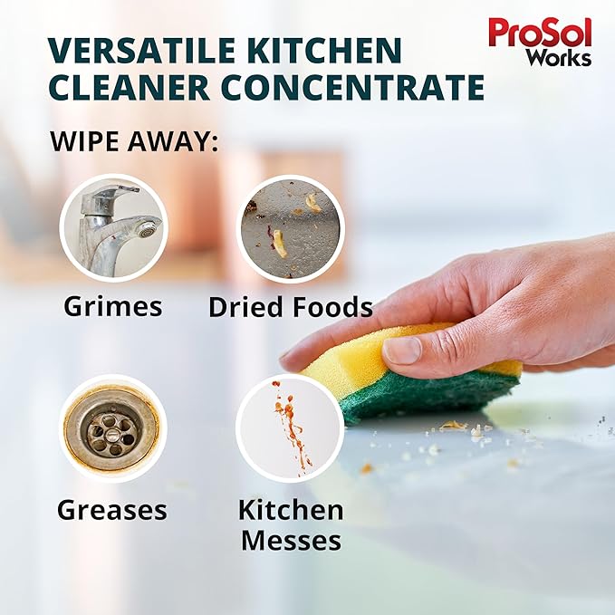 PROSOL WORKS Kitchen Cleaner 16 oz - Daily Cleaning Spray for Countertops, Sink, Cabinets, Appliances, & Stainless Steel Cleaner Revealing Natural Shine & Refreshing Scent - Safe on All Surface