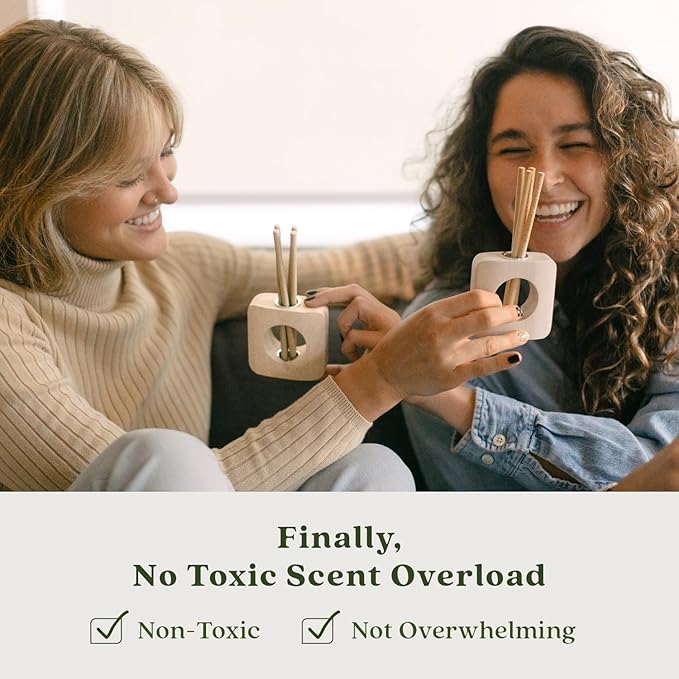 Enviroscent Non-Toxic Air Freshener Scent Stix™ Refills - Compatible with Enviroscent Scent Stix™ Liquid-Free Diffuser Kit - Fragrance Lasts Up to 60 Days - Spring Water & Lotus (Pack of 2)