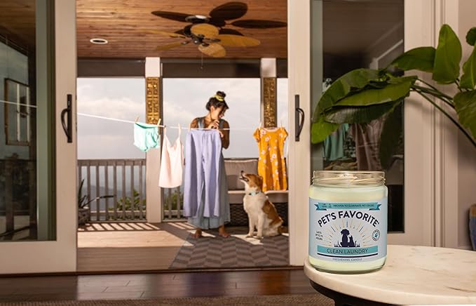 Pet's Favorite Pet Odor Candle, Clean Burning, Long Lasting Scented Candles with a Cotton Wick. (Fresh Laundry, Pack of 1)