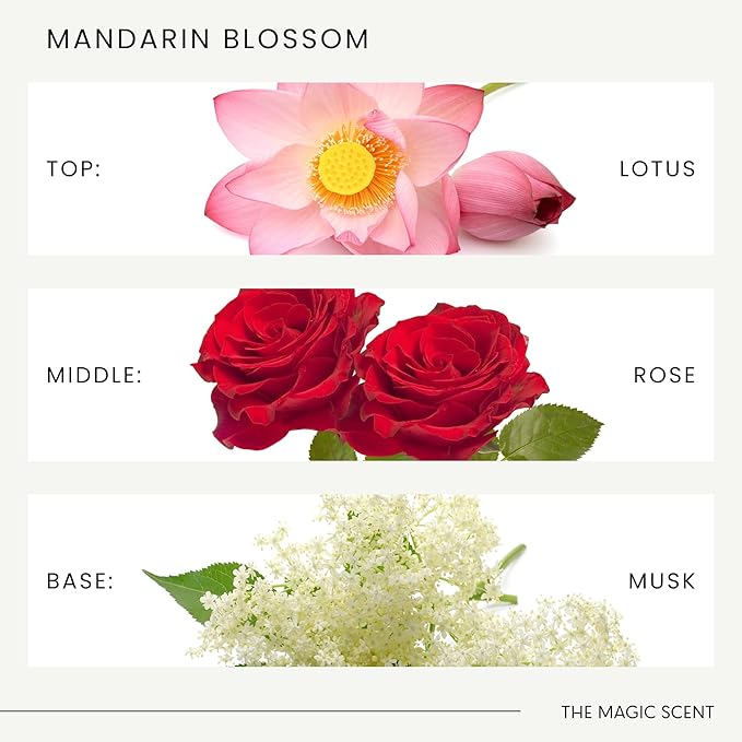 The Magic Scent Mandarin Blossom Diffuser Oil - Hotel & Home Luxury Scents Inspired by Maldives - Diffuser Oil Scents for Home Designed for Use in All Diffusers - 8.5 fl oz, 250 mL