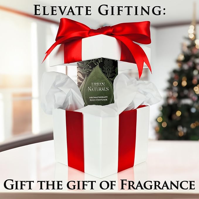 Urban Naturals Holiday Cheer Reed Diffuser Set – Cranberry, Cinnamon, Evergreen, Cedar & Smokey Wood – 5 Ounce Sleek Black Rectangular Refillable Glass Bottle – Made in The USA
