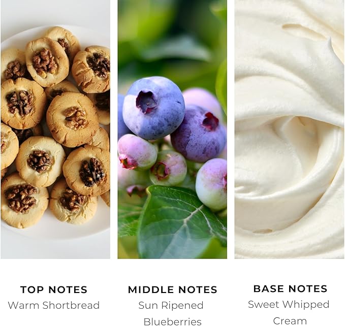 Brilliant Scents Blueberry Shortbread Fragrance Oil 500ml - Premium Diffuser Oil for Home, Office, Hotels - Long Lasting, Plant-Based, Meets IFRA Standards, USA-Made - Blueberries, Whipped Cream Scent