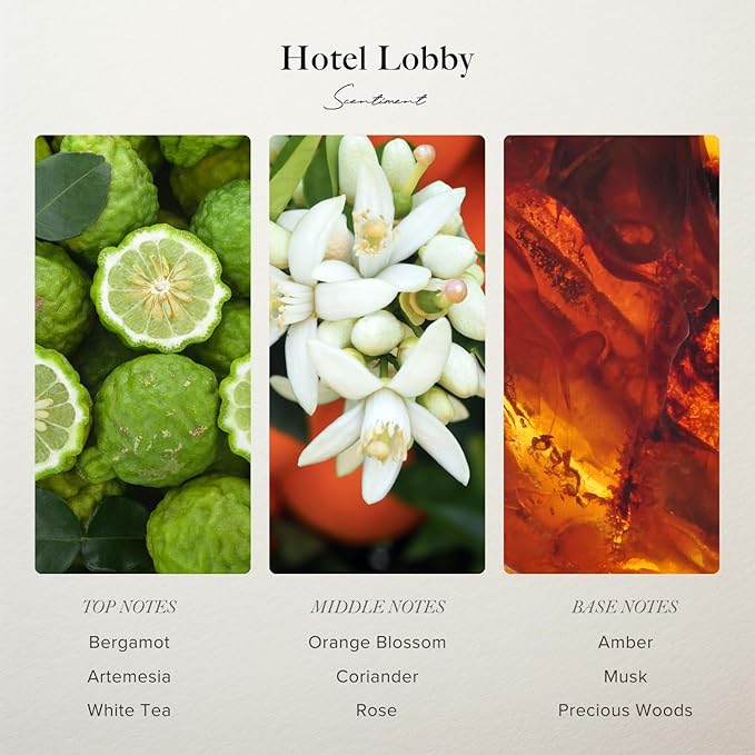 Scentiment Diffuser Oil - Hotel Lounge | Aromatherapy Fragrance Inspired by 5-Star Hotels | Luxurious Scent with Notes of White Tea, Bergamot, Orange Blossom, Amber & Marine (500ml)
